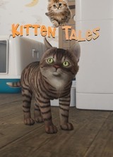 Kitten Tales