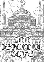 100 Istanbul Cats