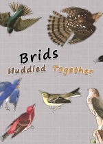 Brids Huddled Together