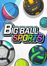 BIG BALL SPORTS